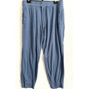 Avia Womens Blue Mesh Inset Jogger Pants XL 16-18 Drawstring Pockets Athleisure‎